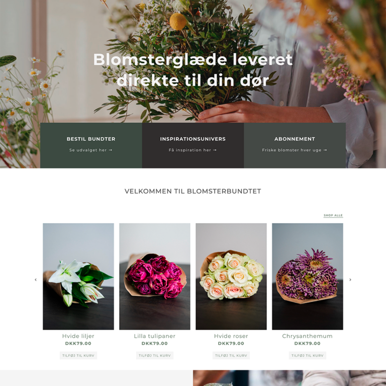 Website Design